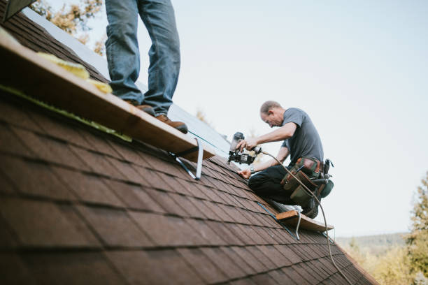 Best Metal Roofing Contractor  in Brookville, PA